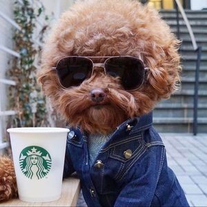 Meet your Posher, Karina